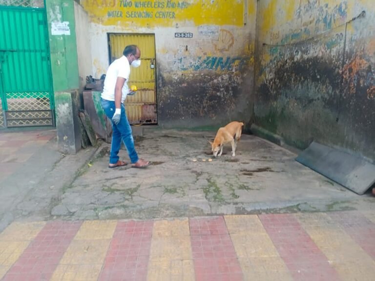 Surya Helping Hands