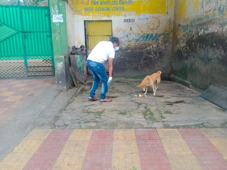 Surya Helping Hands