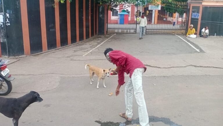 Surya Helping Hands